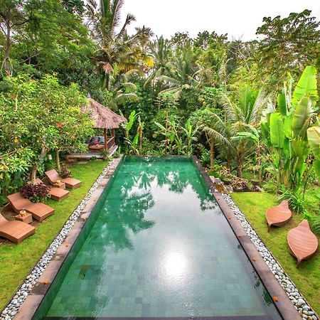 Villa Viola Ubud Esterno foto