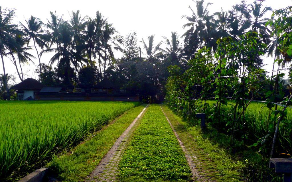 Villa Viola Ubud Esterno foto