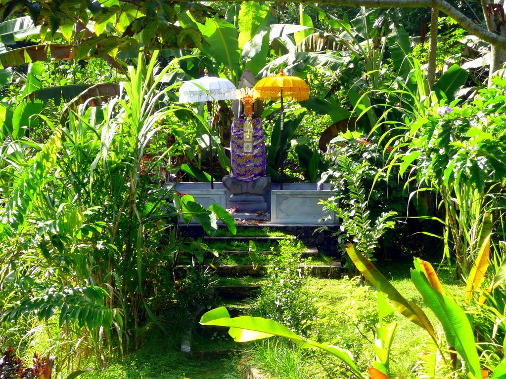 Villa Viola Ubud Esterno foto