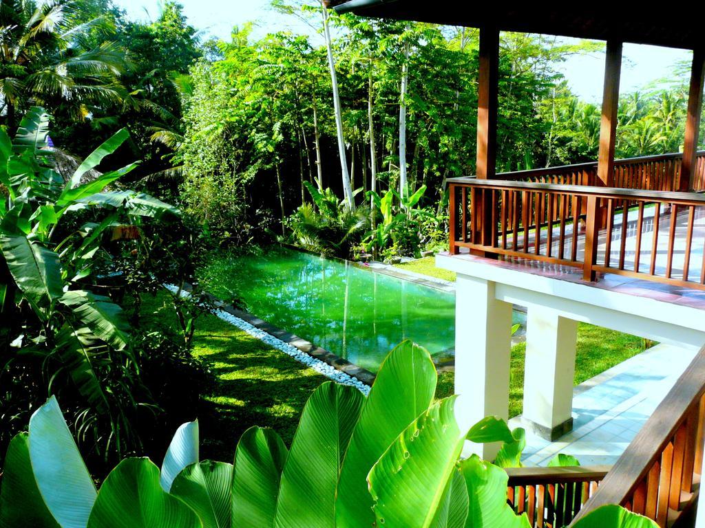 Villa Viola Ubud Esterno foto